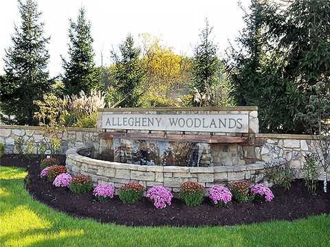 509 Dogwood Ct Dogwood Ct, Allegheny Twp - WML, PA 15613