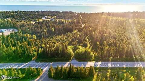 33045 Sterling Highway, Anchor Point, AK 99556