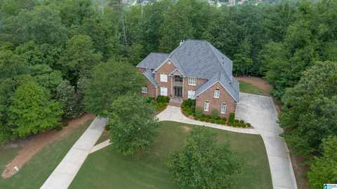 8710 CARRINGTON LAKE RIDGE, TRUSSVILLE, AL 35173