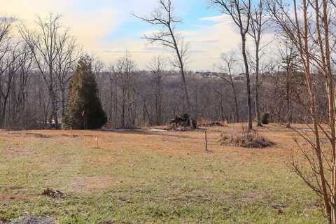 0 River View Court, Jasper, TN 37347