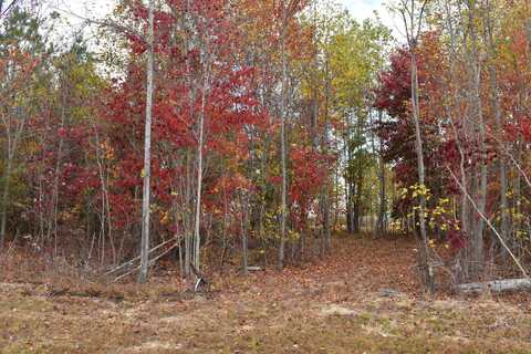 Crockett Point, Jasper, TN 37347