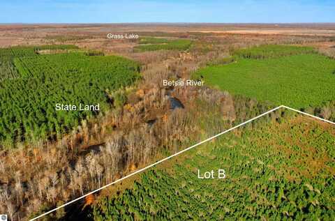 40 ACRES B WALLIN ROAD, THOMPSONVILLE, MI 49683
