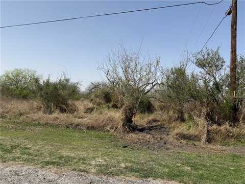 TBA #1 French Street, Alice, TX 78332