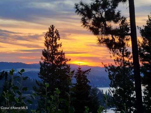 Nka Lisa Rd, Harrison, ID 83833