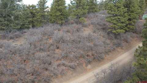 668/698 Squirrel Drive, Pagosa Springs, CO 81147