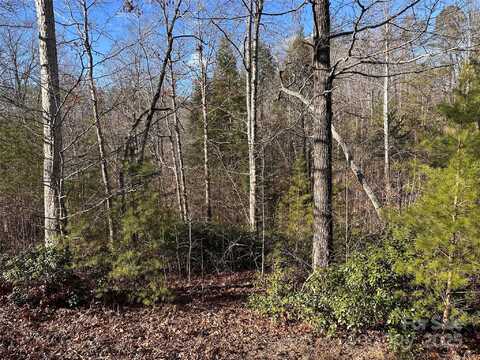 Rock Ledge Drive, Lake Lure, NC 28746