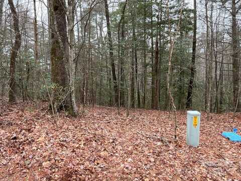 9999 Upper Whitewater Road unit: 122, Sapphire, NC 28774