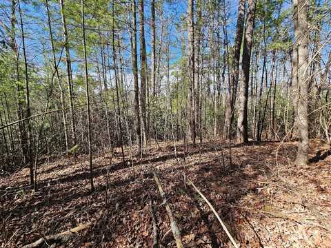 Chenoa Ridge, Waynesville, NC 28785