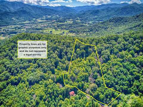 Yellow Locust Drive, Waynesville, NC 28786