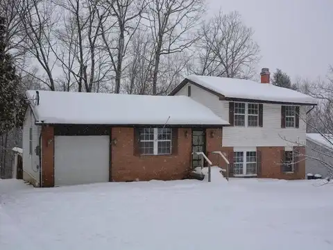 58 CHEROKEE ROAD, CRAIGSVILLE, WV 26205