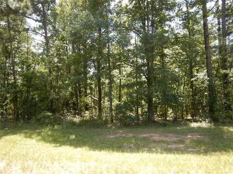 2771 Carey Station Rd Street, Greensboro, GA 30043