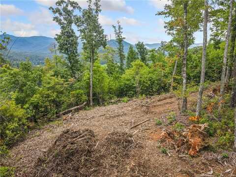 4.77 Acres Tom Wheeler Road, Hiawassee, GA 30546
