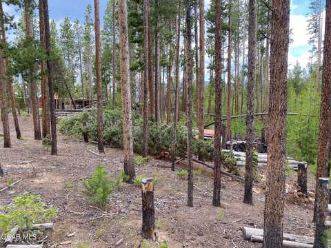 63 GCR 499, Grand Lake, CO 80447