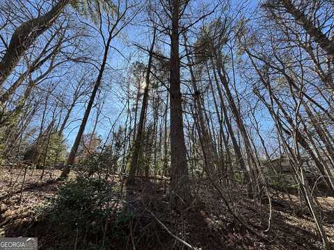 0 Waterfall, Cleveland, GA 30528