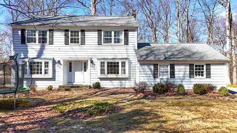 15 OLD CHIMNEY RD, Randolph, NJ 07869