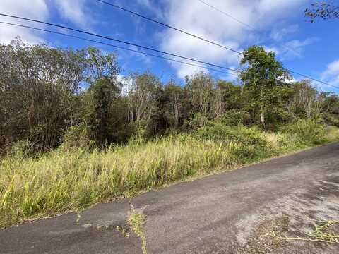 18-4167 HINUHINU ST, Volcano, HI 96785