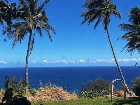 39-3296 OLD MAMALAHOA HWY, Ookala, HI 96774