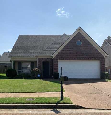 9051 CORAL SHELL, Memphis, TN 38016