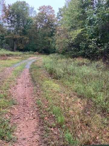 157 Madison CR 410, Fredericktown, MO 63645