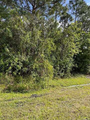 0 SE 44TH AVENUE, SUMMERFIELD, FL 34491