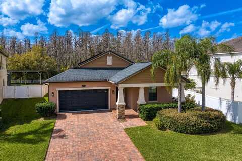 19476 PADDOCK VIEW DRIVE, TAMPA, FL 33647