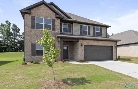 180 Saddle Street, New Market, AL 35761