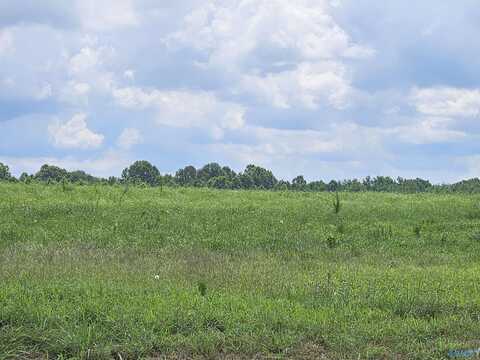 114 Treva Lane, Hazel Green, AL 35750