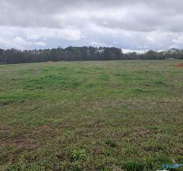 2642 Elkwood Section Road, Hazel Green, AL 35750