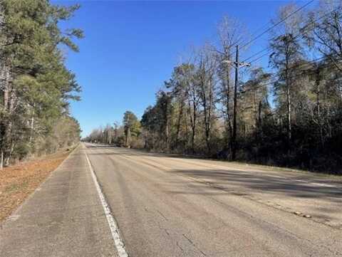 20 Acres HWY 51 None, Fluker, LA 70436