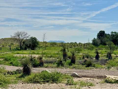 1603 W Washington St, Marfa, TX 79843