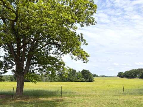 343 Jerusalem Rd, Clio, AL 36017