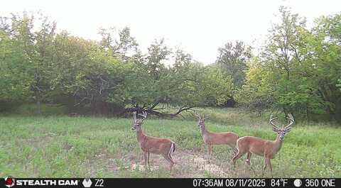 00 Hwy 270, Hartshorne, OK 74547