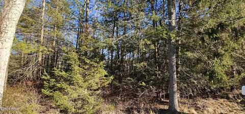 Lot 57.1 Yulan-Barryville Road, Barryville, NY 12719