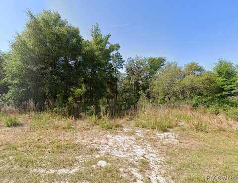 2324 W Aleuts Drive, Beverly Hills, FL 34465