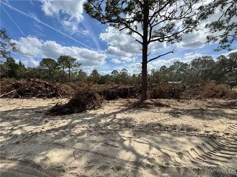 4166 W Roadrunner Court, Homosassa, FL 34446