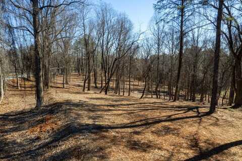 5 Lot Trents Ferry RD, Goode, VA 24556