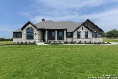 1121 Cape May Warbler, New Braunfels, TX 78132