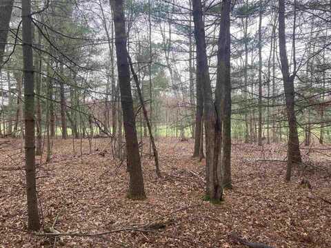 252 Berry Lane, Wisconsin Dells, WI 53965