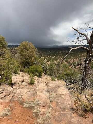 Calle Largo lot: 4, San Jose, NM 87565