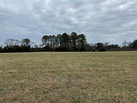 Lot 33 SEAVIEW ST, ACCOMAC, VA 23301