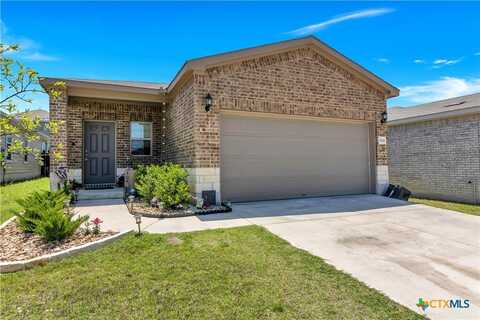 304 Stone Water Lane, Jarrell, TX 76537