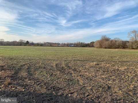 Lot 1 CLARK CANNING HOUSE ROAD, FEDERALSBURG, MD 21632