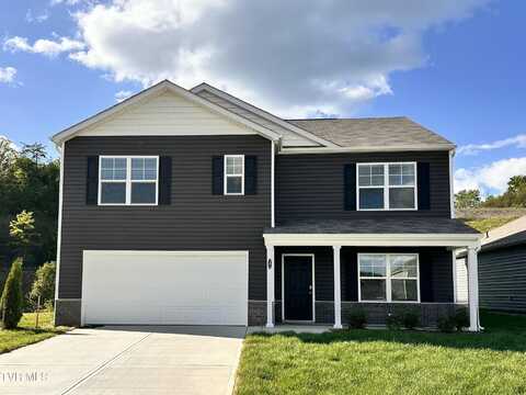 141 Crawford Circle, Bristol, TN 37620