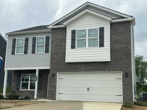 791 Magnolia Ridge Drive, Blountville, TN 37617