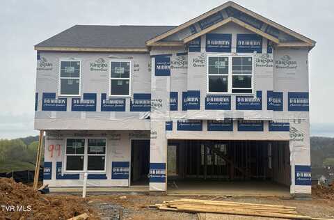 791 Magnolia Ridge Drive, Blountville, TN 37617