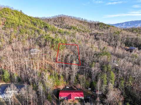Tbd Black Oak Dr, Sevierville, TN 37876