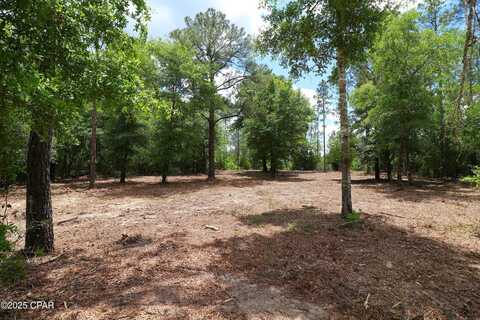 Lot 1 Flagler Drive, Chipley, FL 32428