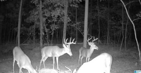 Lot 4 HIGHWAY 47, COLUMBIANA, AL 35051
