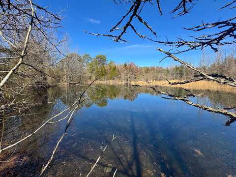 1457 Fairbanks Road, Bee Branch, AR 72013