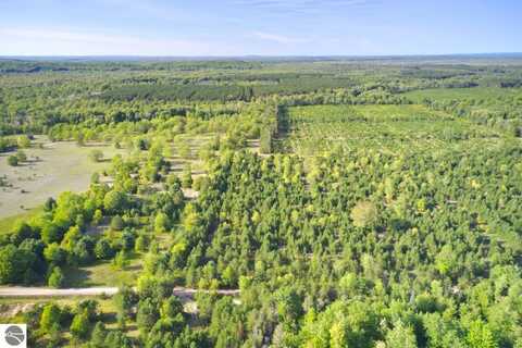 70 ACRES B-C-D WALLIN ROAD, THOMPSONVILLE, MI 49683